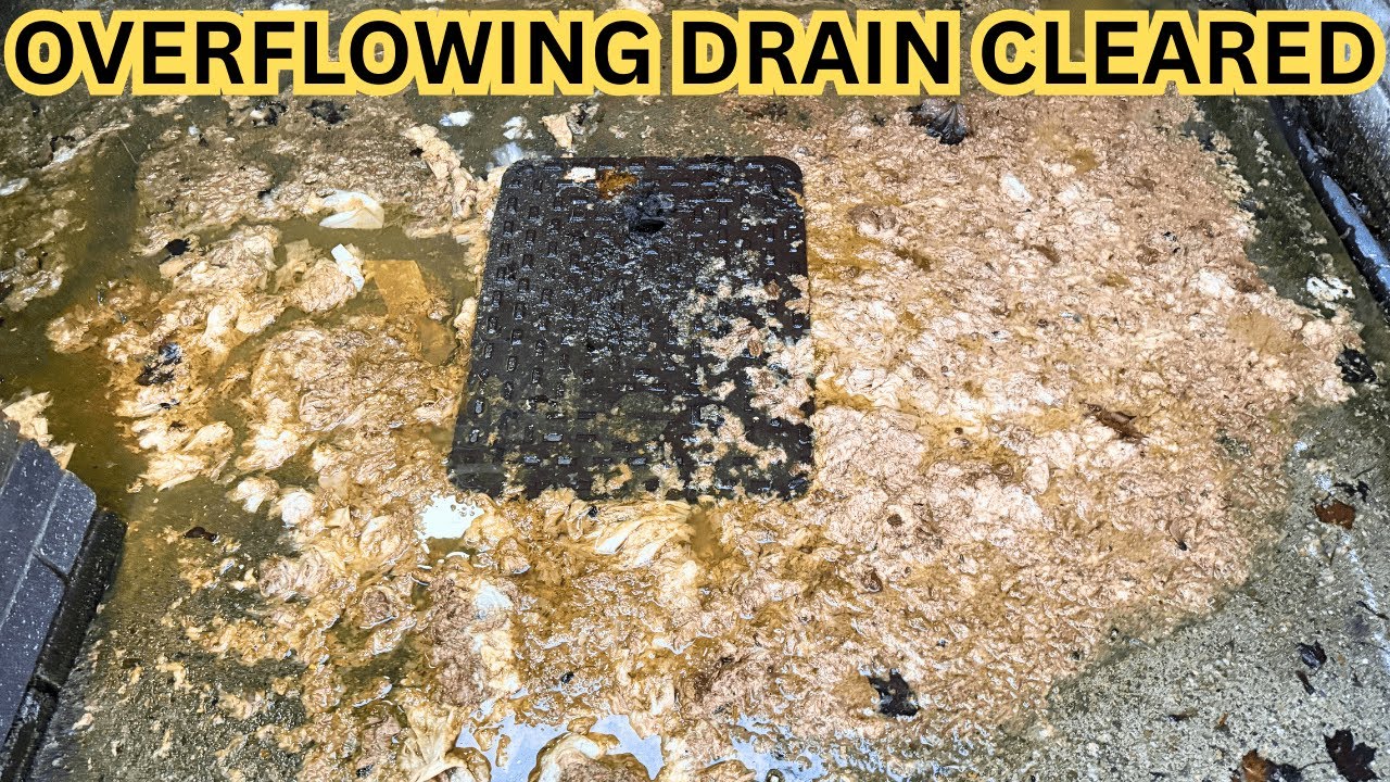 Sewage Disaster Strikes This Backyard!