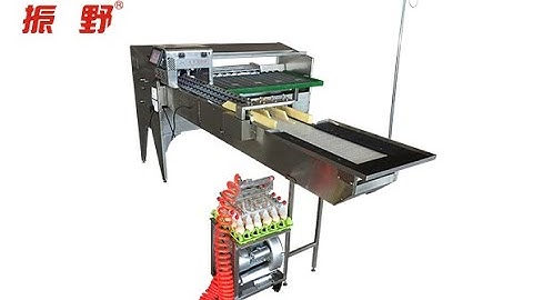 ZENYER 102BS egg grader (604A accumulator+602 lifter+102B grader)