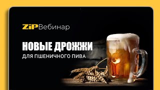 Новые дрожжи для пшеничного пива