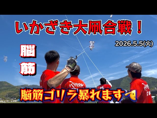 いかざき大凧合戦2026】今年も凧上げに参加！百畳凧は上がるのか？相手