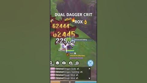 ROX DUAL DAGGER CRIT TYPE SD 1.4M CRIT DAMAGE 🔥👌 #ragnarokxnextgeneration.
