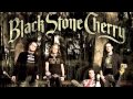 Black Stone Cherry - The Key (Audio)