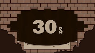 30 Second Timer (Basic Brown)