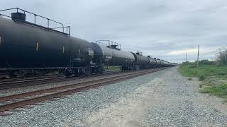 BNSF Manifest Train At Mud Bay w/Fakebonnet Horn Show 05/04/24