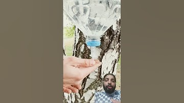 Handwash 👏water bottle#shortfeed #experiment#craft#injection#bottle#diy#cutter#handwash📷