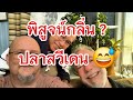 อาหารสวีเดนที่มีกลิ่นแรงที่สุด ใครไปสวีเดนต้องลองชิมสักครั้ง