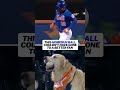 This home run was secured ✅ 🐾