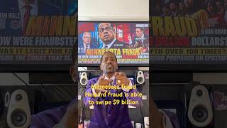 Minnesota fraud how were fraudsters able to swipe 9 billion