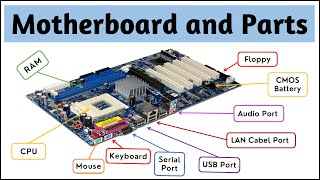 What is Motherboard | Parts of a Motherboard and their Function (Hindi) | Student Notes |