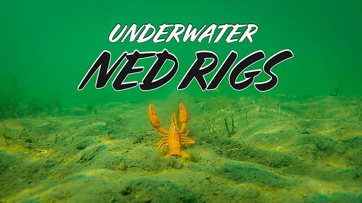 Underwater Footage of 9 NEW Ned Rig Baits | Which ...