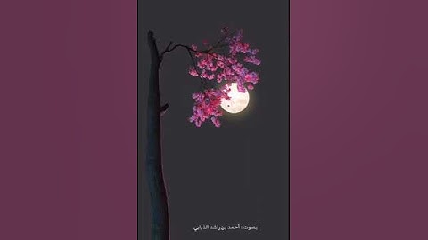 القارئ أحمد الذيابي