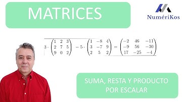 MATRICES: SUMA, RESTA Y PRODUCTO POR ESCALARES