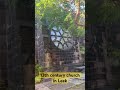 St Edward the confessor church / 13th century/ old church/ Christian / Anglican/ shorts / leek/ uk