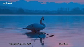 M07ammad abd al7aleem salamah2 سورة فصلت الشيخ محمد عبد الحليم سلامه