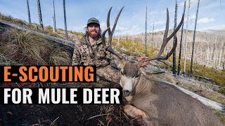 EScouting for Mule Deer with Brady Miller