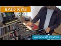Raid Kyu - Why do cats scratch?