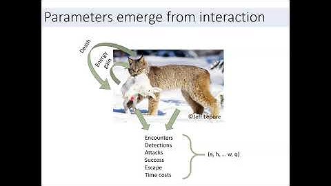 John DeLong - Evolution of functional responses