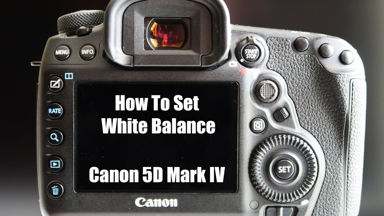 Canon 5D Mark IV White Balance YouTube