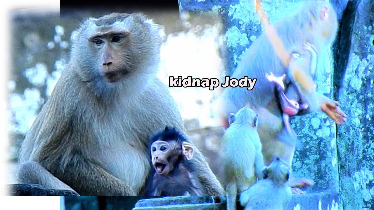 Supper scare !adorable baby Jody try run to mom Jane during Bonita kidnap | Bonita kidnap baby Jody