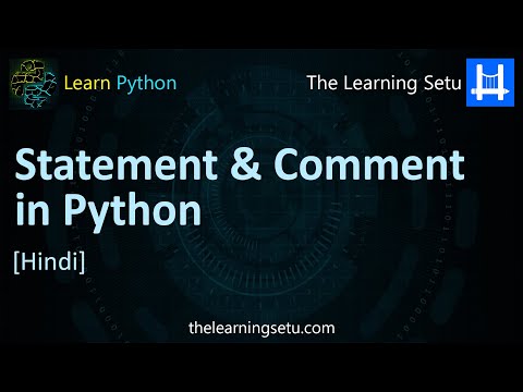 Statement and Comment in Python (Hindi) | The Learning Setu
