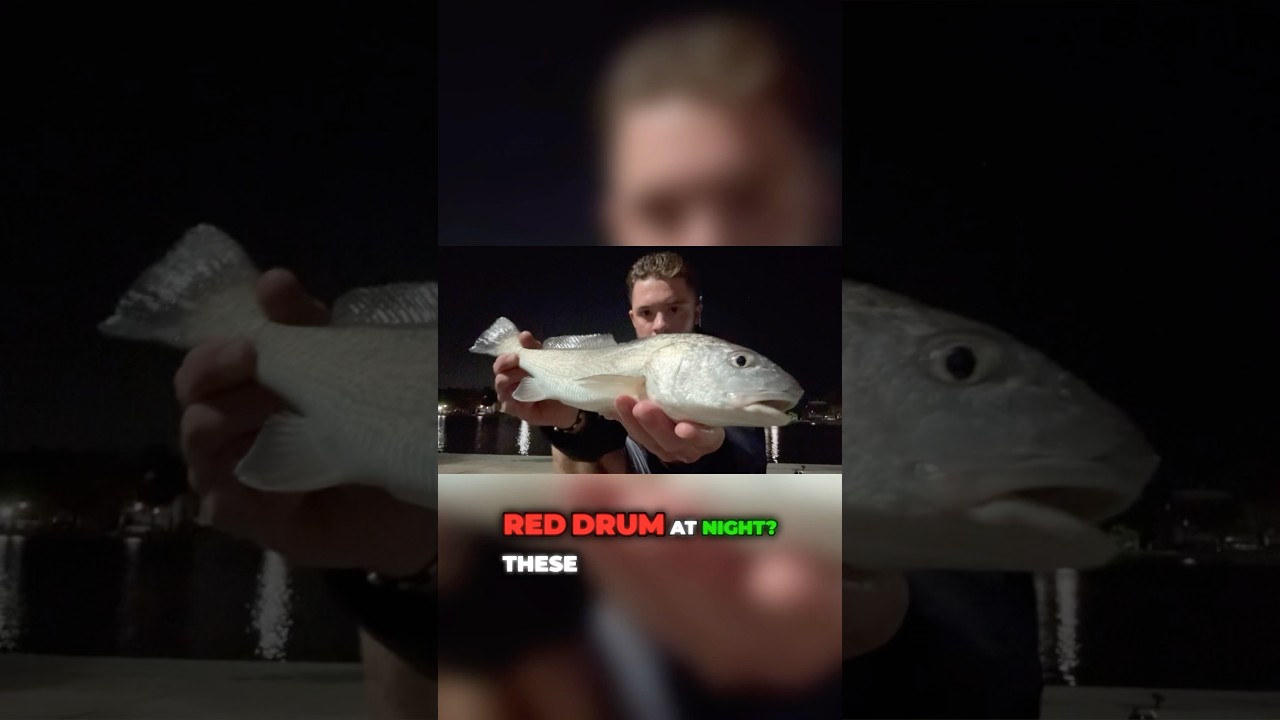 3 Steps to Catch Red Drum at Night 🎣 