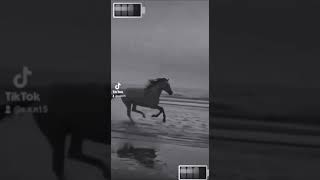 Dünya Fani Ölüm Ani Arkadaşlar Yeni Hesap Açtım Desteklerinizi Beklerim Teşekürler