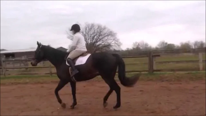 SARAH HOLLADAY Class of 2016 Hunter Seat O/F and F...