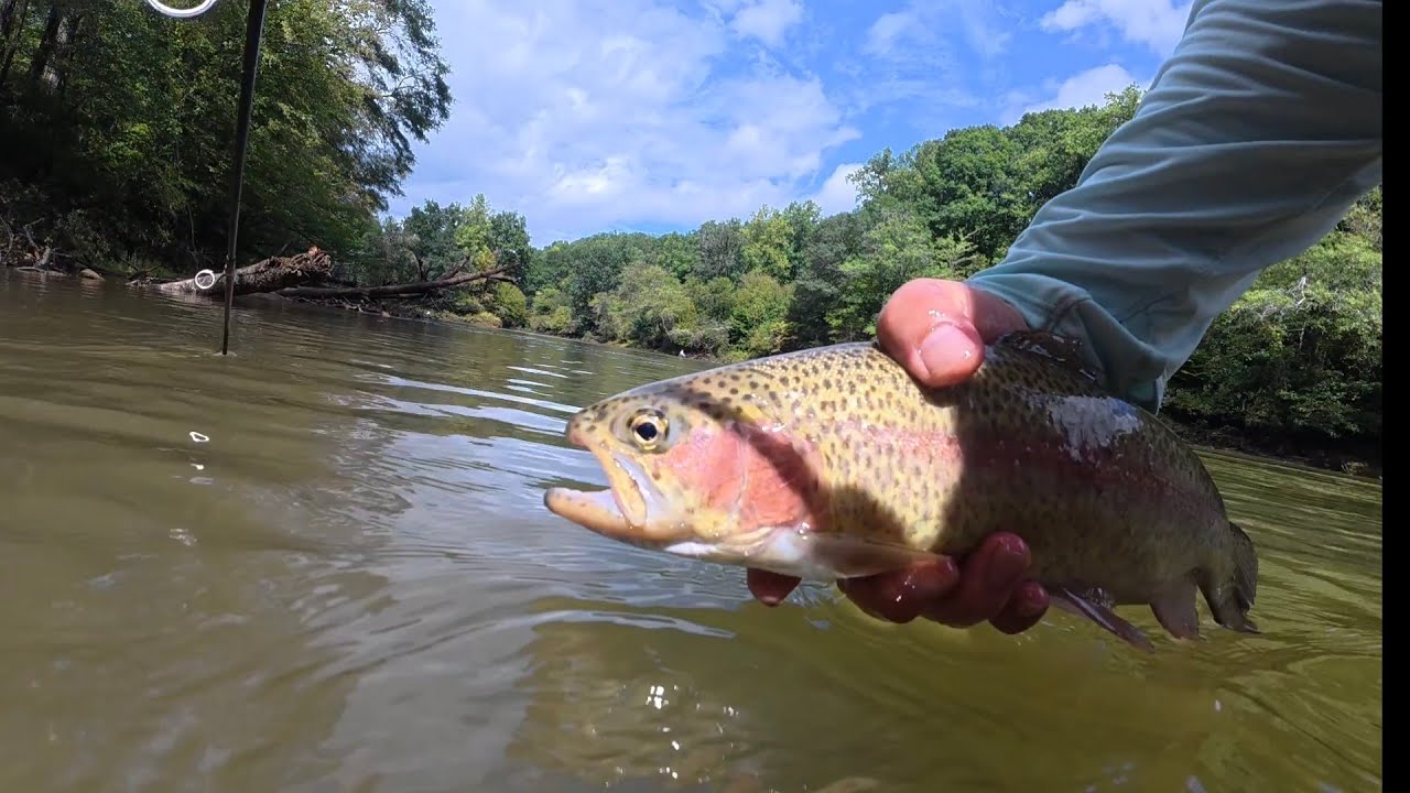 Heavy Rain Ruined the Bass Fishing… So I Went Trout Fishing! | Chattahoochee River