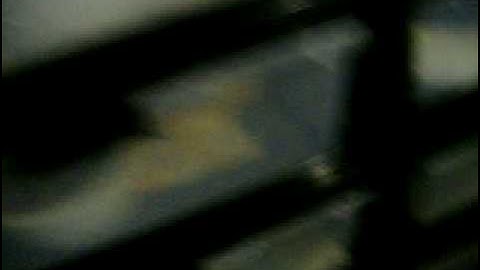 Vision Racks Part 2/BALL PYTHON COLLECTION