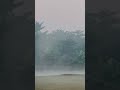 আল্লাহর কত না সৃষ্টি 🖤🖤
