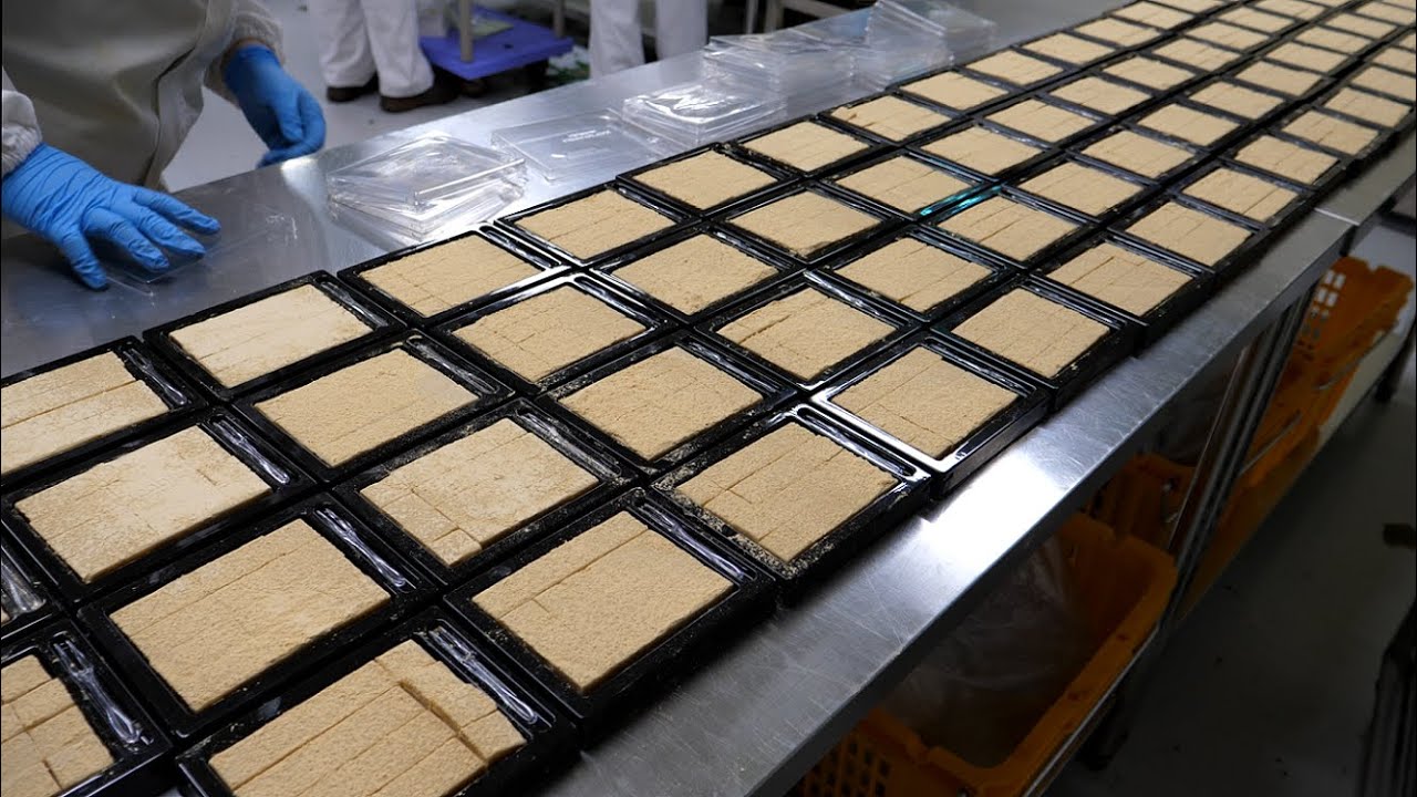 초콜릿이 너무 좋아 직접 공장차리신 여사장님! - 인절미 생초콜릿 / 카카올라 / 초콜릿 제작소 / Injeolmi Chocolate