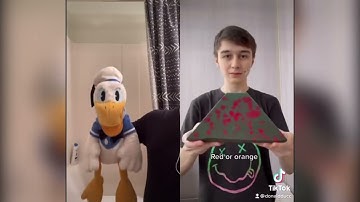 Donald Duck Reacts To Even More Satisfying TikToks (YOU LAUGH YOU LOSE CHALLENGE) @DonaldDucc