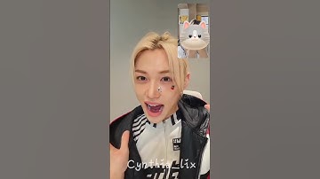 OMG Felix so cutie kitten 😻🥰 #felix #skz #stay #idol #kpop #shorts #viralvideo