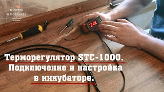 Терморегулятор STC-1000. Подключение и настройка в инкубаторе.