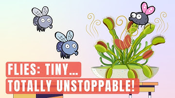 Animated FLIES Life: TINY, GROSS… TOTALLY UNSTOPPABLE! | Animal Science Bites
