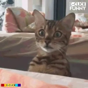 Sepi ngintip ah