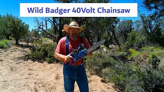 Wild Badger 40 Volt !4'' Brushless Chainsaw Review #wildbadger #lawncare #chainsaw #grasstrimmer by High Desert Homestead 295 views 9 months ago 8 minutes, 32 seconds