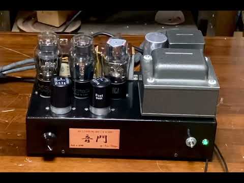 45SE tube amplifier with output transformer Jorge Schou