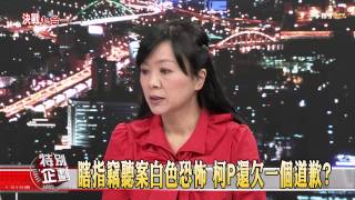 【九合一大選特別企劃】少康麗文_20141127_158-1(TVBS DMDD)