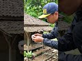 #viralvideo #fyp #trending #trendingshorts