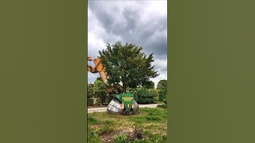 Tree transplanting machine #tree #machine #shorts