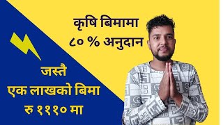 कृषि बिमामा सरकारको ८०% अनुदान Krishi Beema || Crop and Livestock Insurance in Nepal || Rabin Paudel