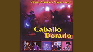 Video thumbnail of "Caballo Dorado - Amargo como el café"