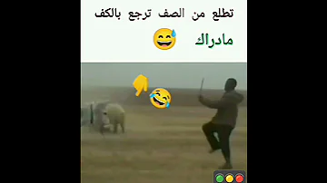تخرج تطلع من الصف ترجع بالكف 