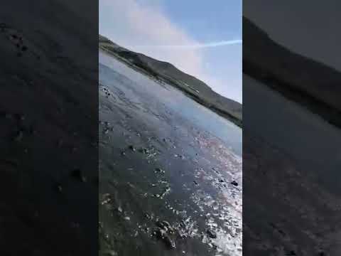 العراق شاطئ دجلة  
