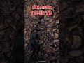 КОНІ ПРОТИ НЬЮ-ОСТІНУ #rdr2rp #відеоукраїнською #rdr2 #рдр2 #reddeadredemption #rdr2game  #рдр2