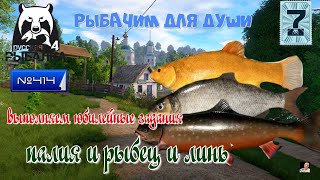 #Стрим🐠Russian Fishing 4🐠рыбачим для души🐠№ 414🐠выполняем юбилейные задания🐠палия и рыбец и линь🐠