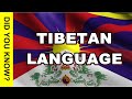 Tibetan Language | Verbale Mondo