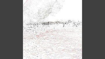 InSitu