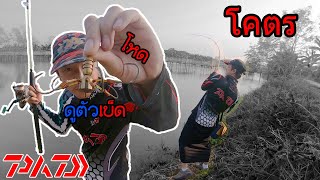 ตามหาปลาช่อนตัวแรกประเทศพม่า เมียนมาร์เดอะซีรี่ย์(FULL) P.NU FISHING